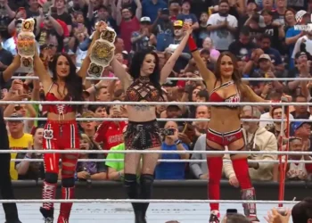 The Bella Twins & Paige Wrestlemania 42